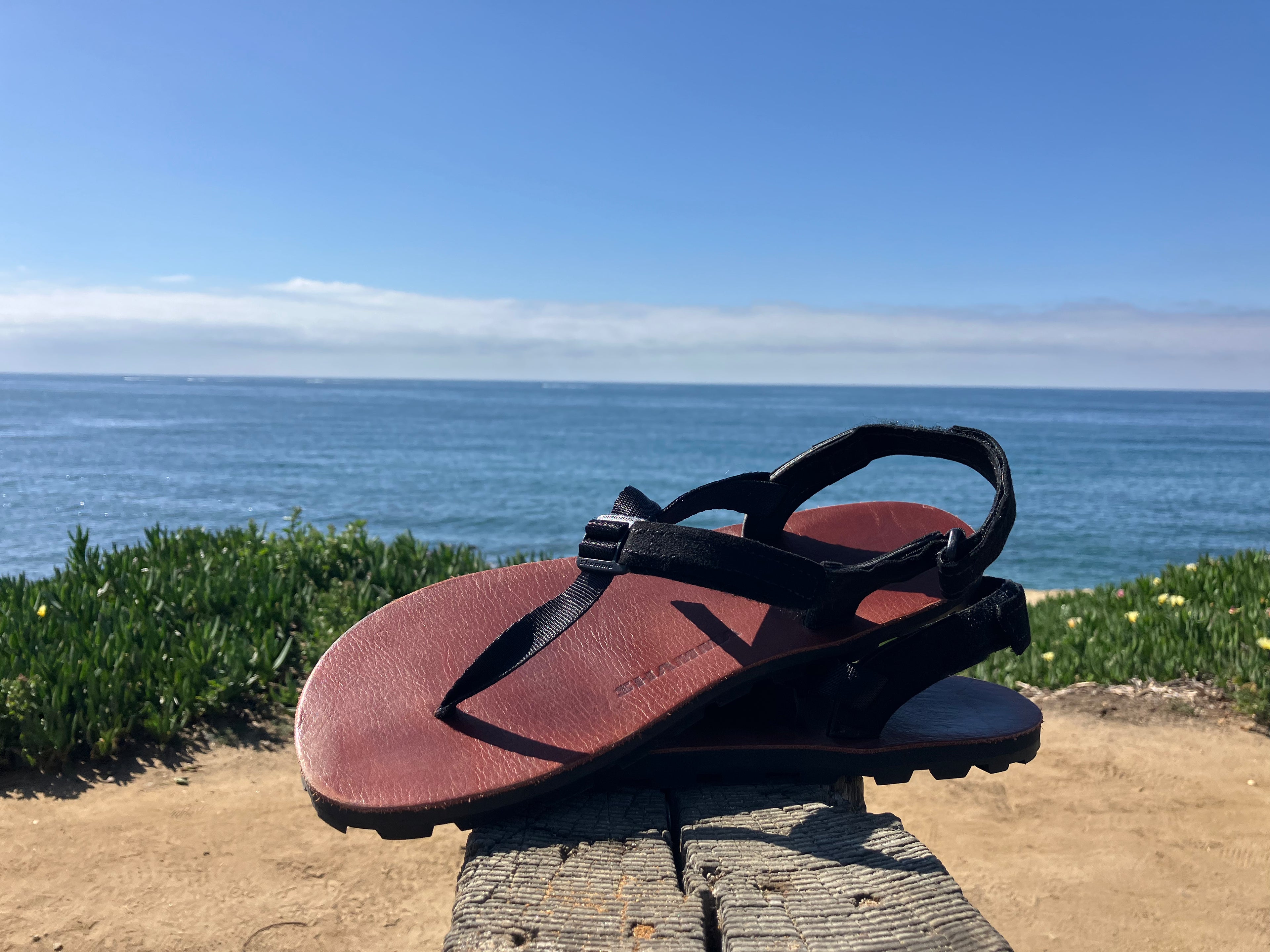 ELITE IBEX Leather 【EIBL】