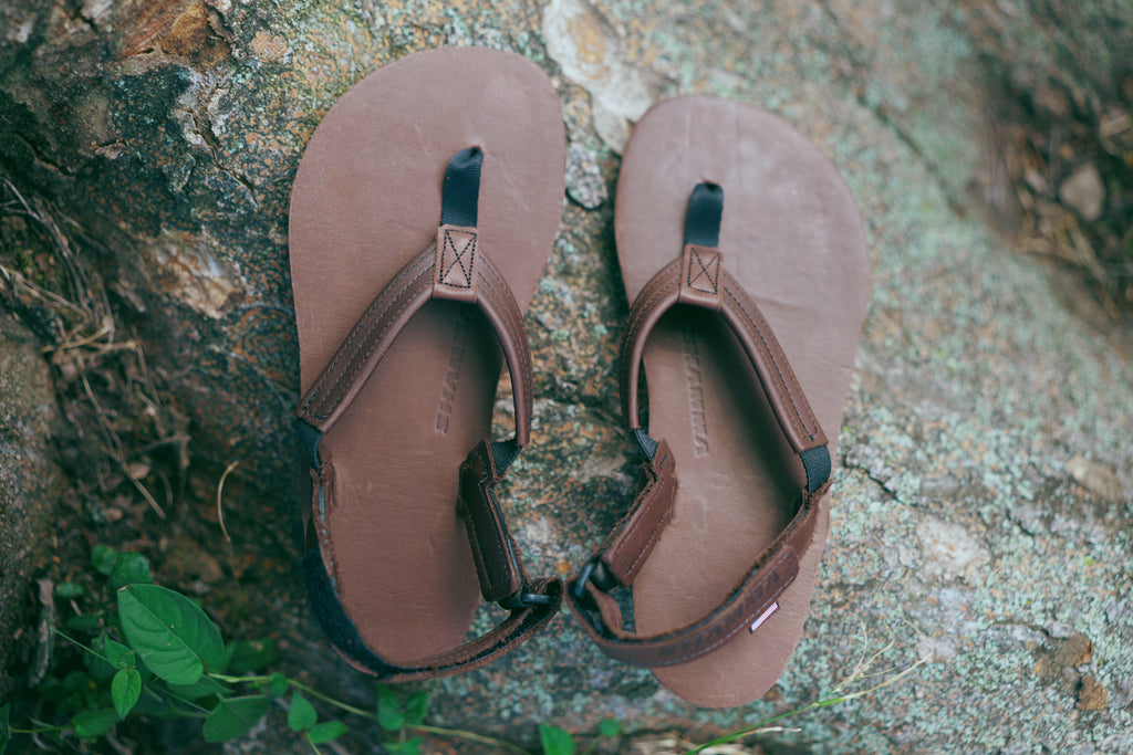 Pacific Avenue: BROWN 【PABR】