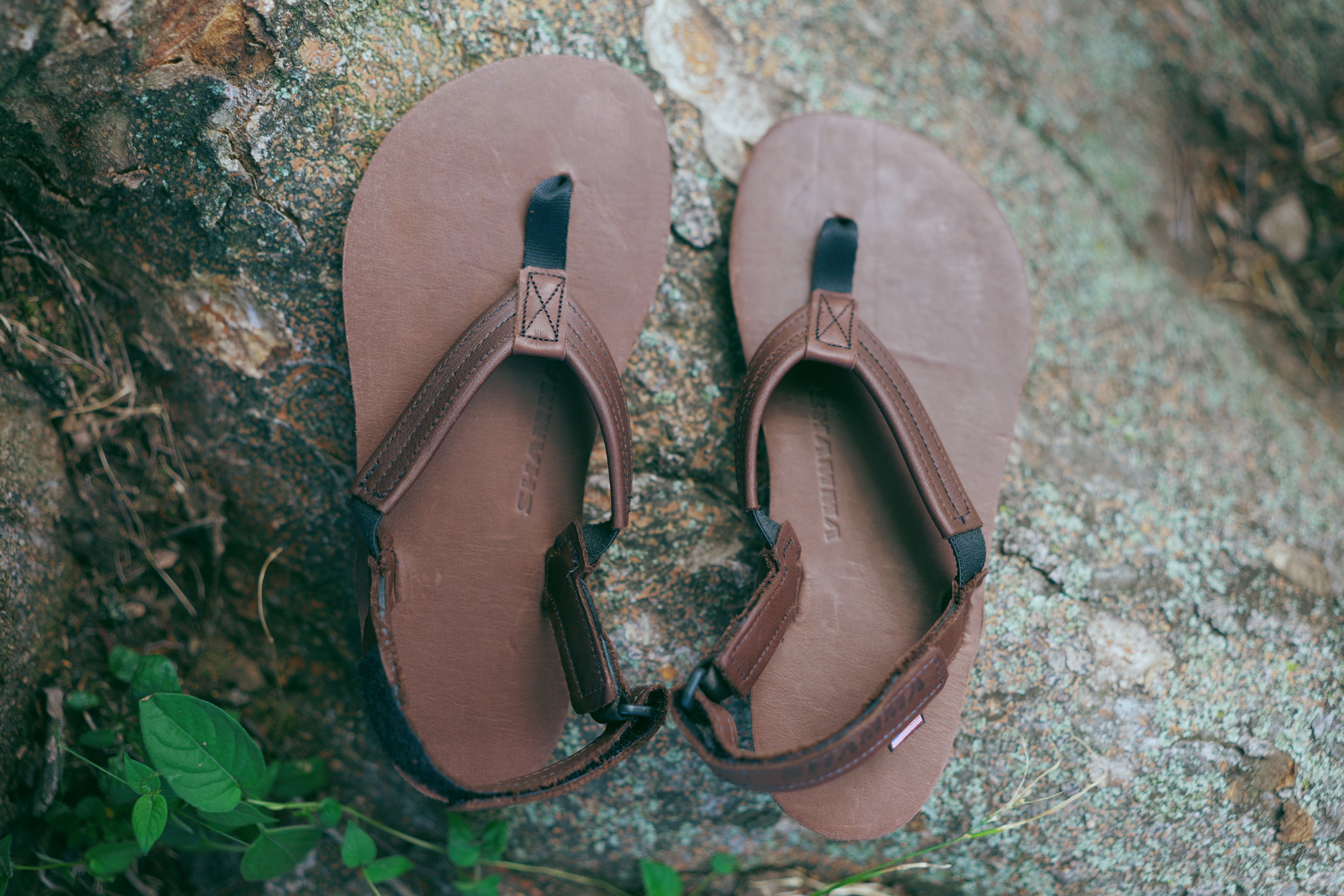 Pacific Avenue: BROWN 【PABR】