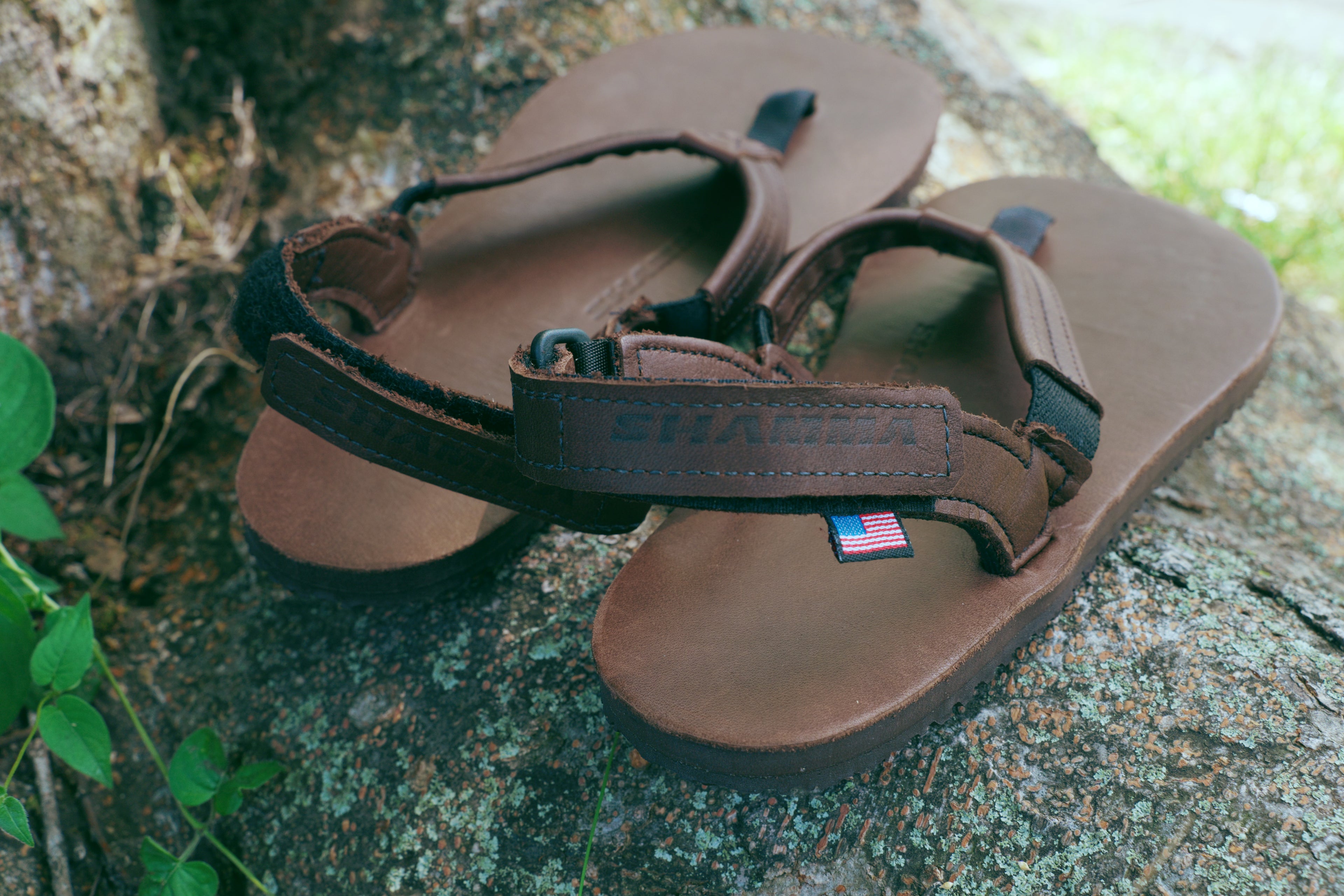Pacific Avenue: BROWN 【PABR】