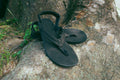 Pacific Avenue: BLACK 【PABL】