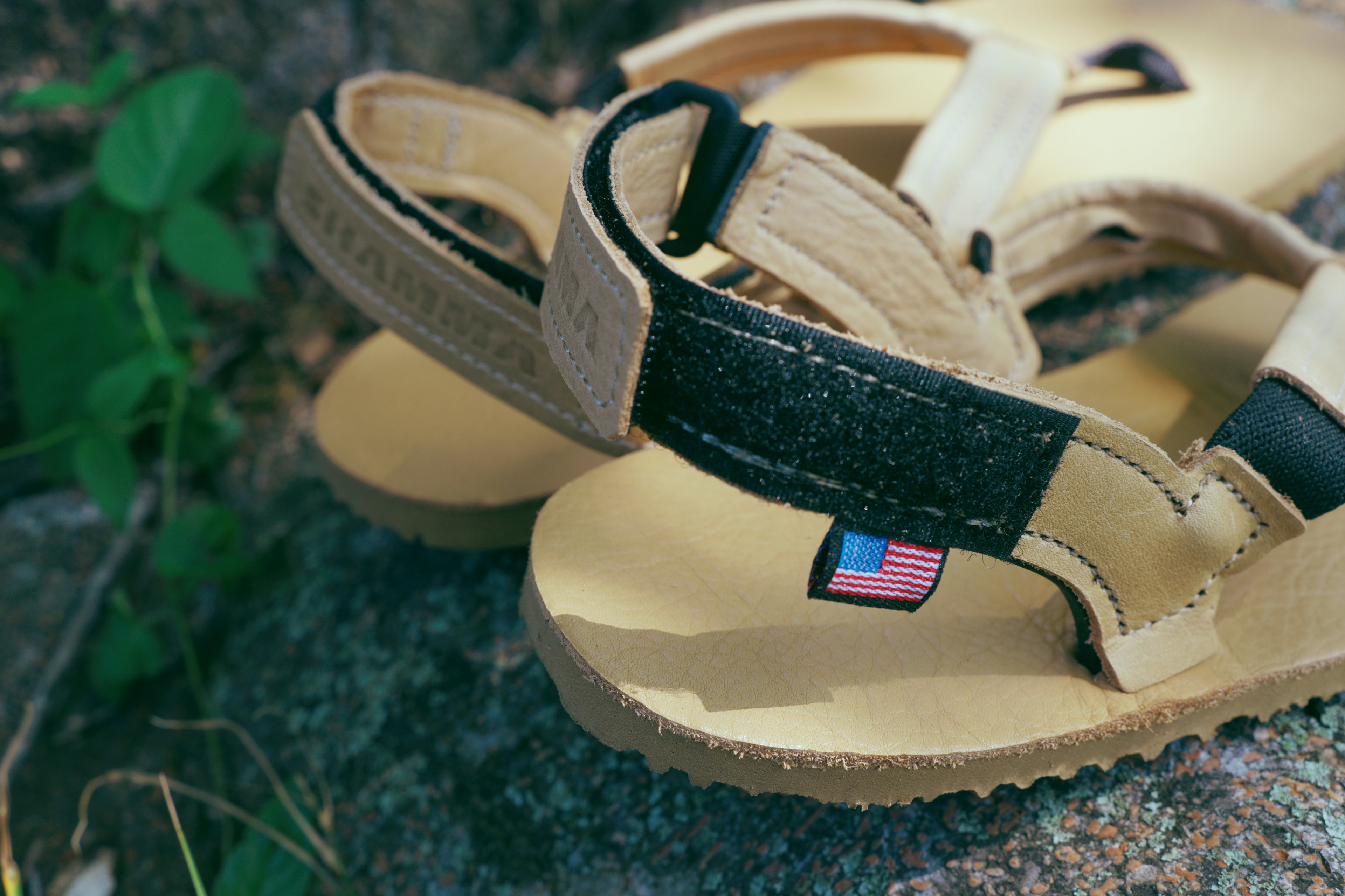 Pacific Avenue: TAN 【PATN】