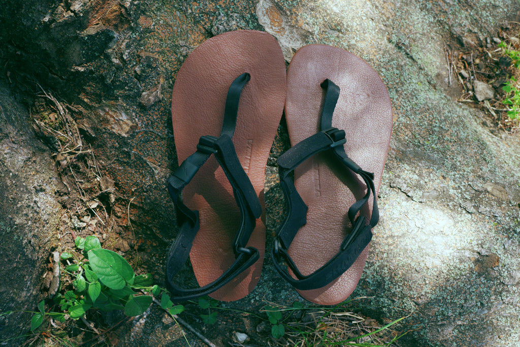 ELITE IBEX Leather 【EIBL】