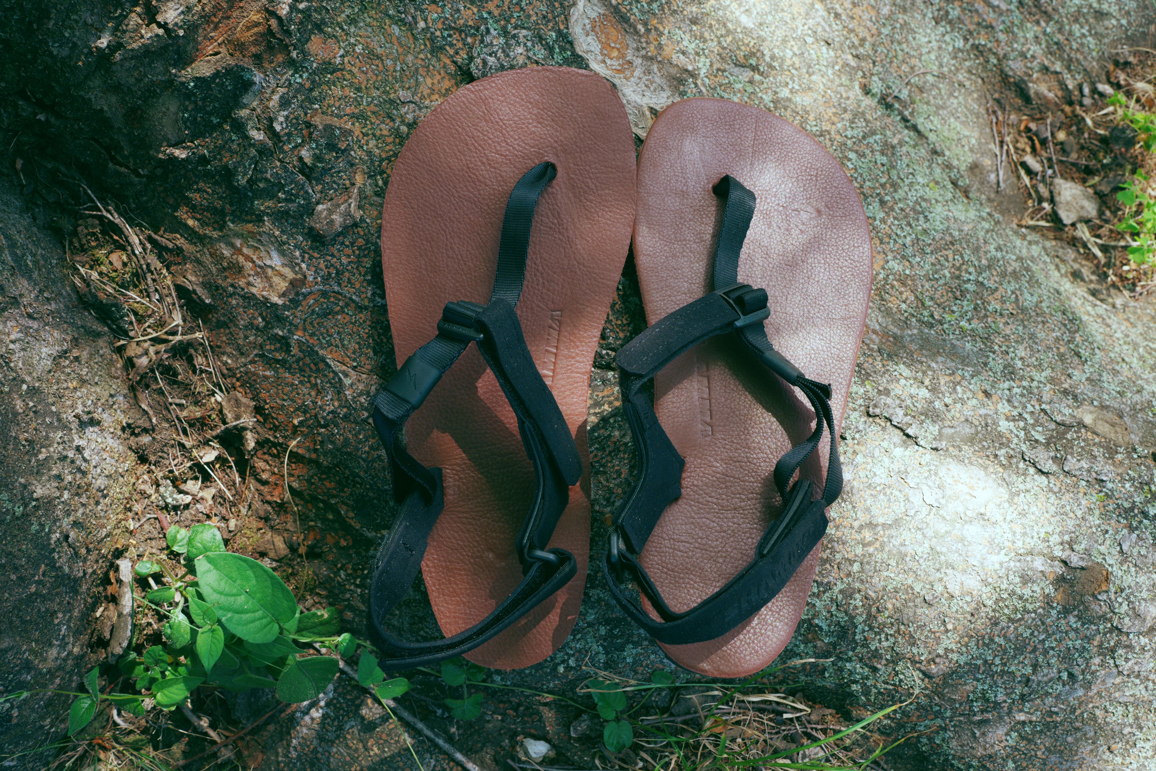 ELITE IBEX Leather 【EIBL】