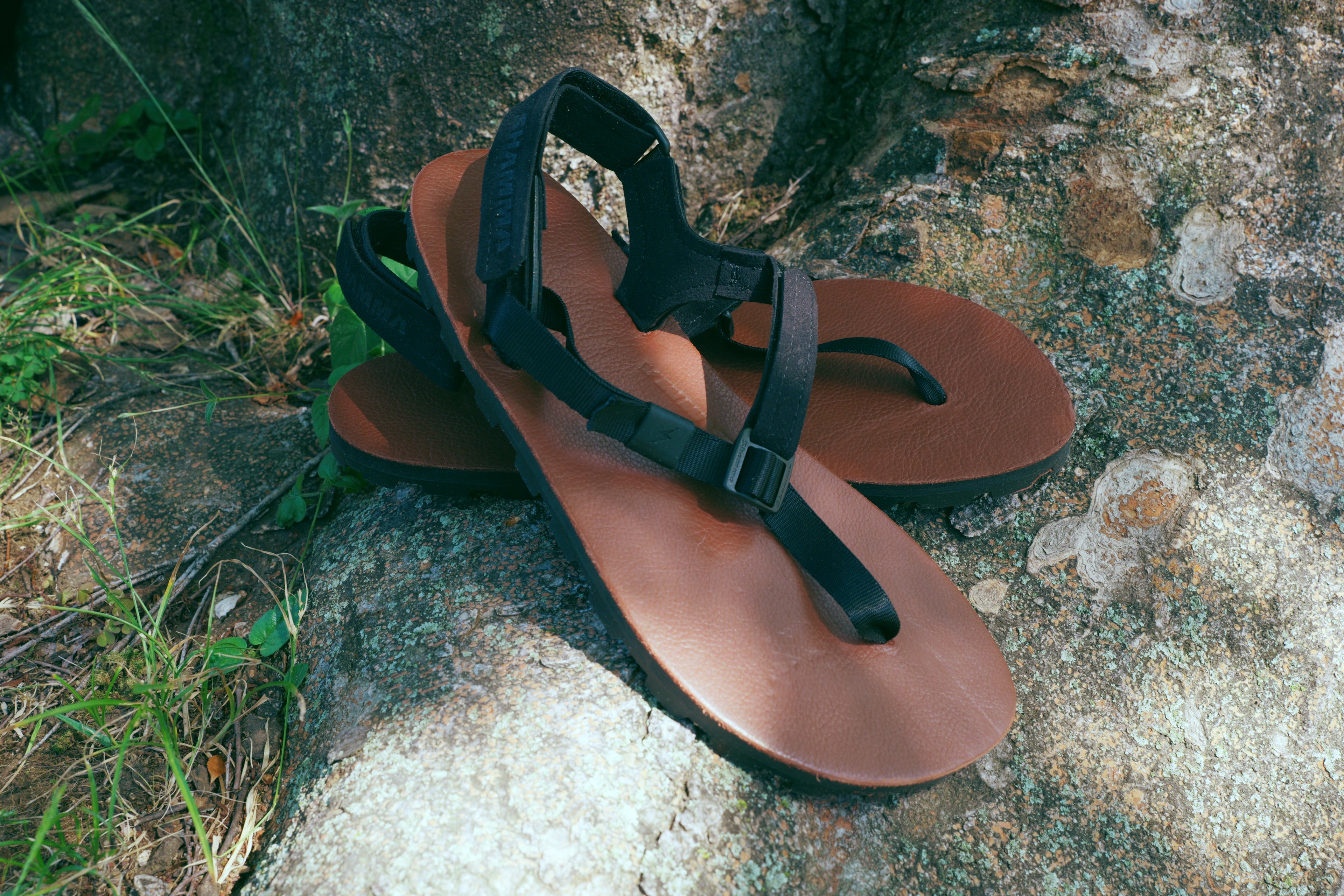 ELITE IBEX Leather 【EIBL】