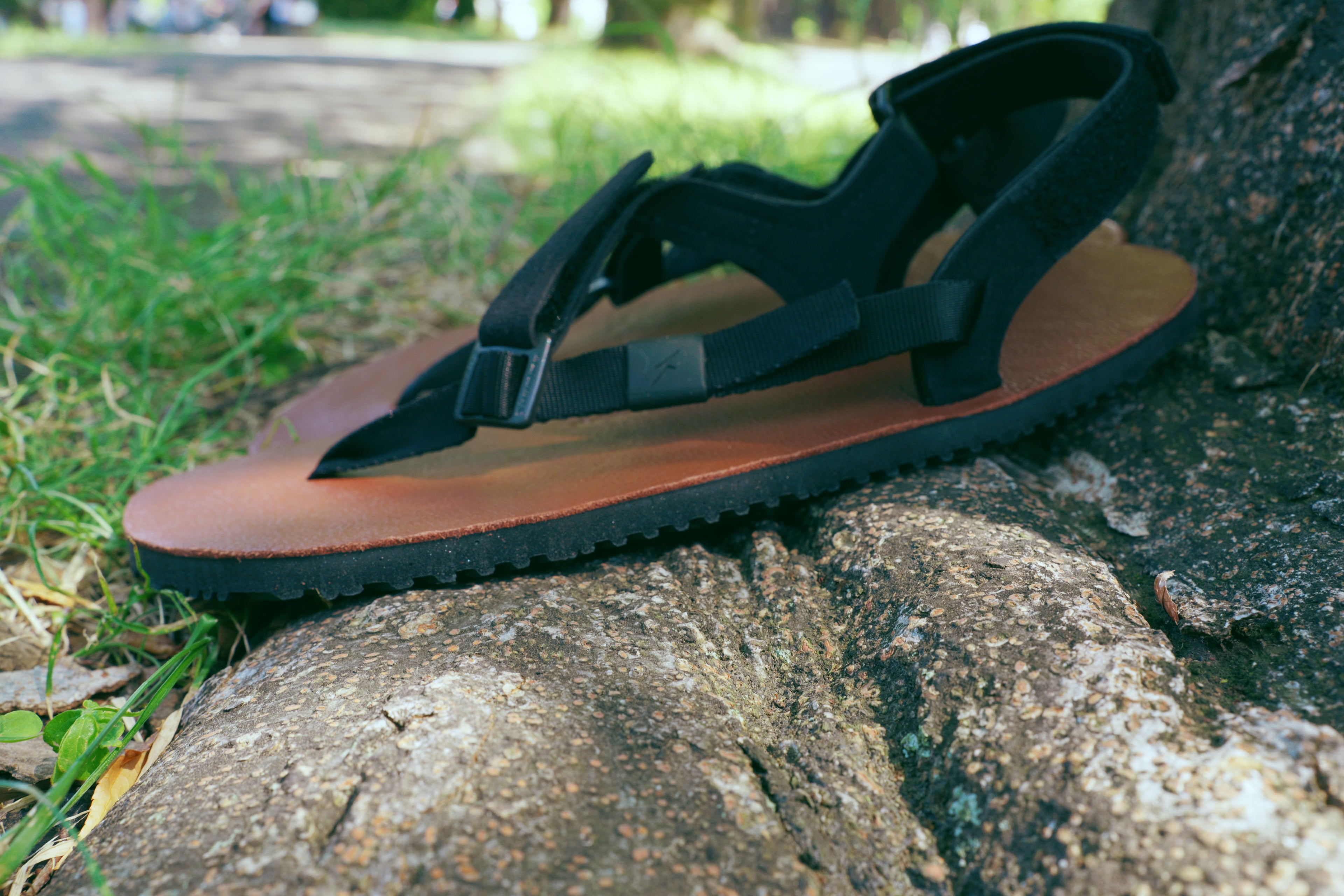 ELITE MAXIMUS Leather 【EML】