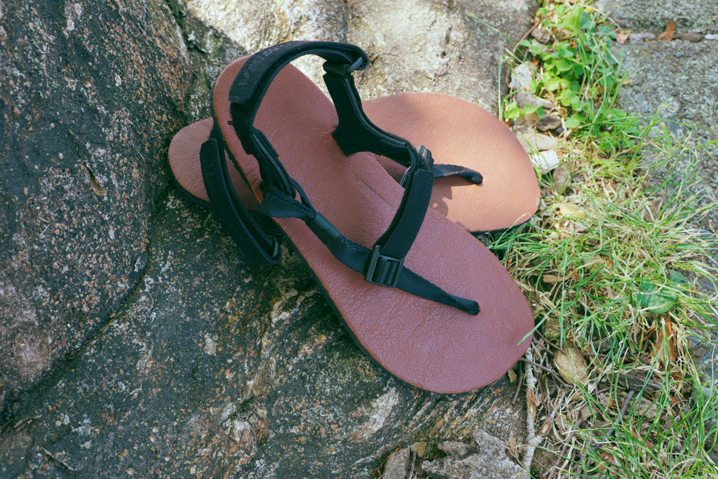 ELITE MAXIMUS Leather 【EML】